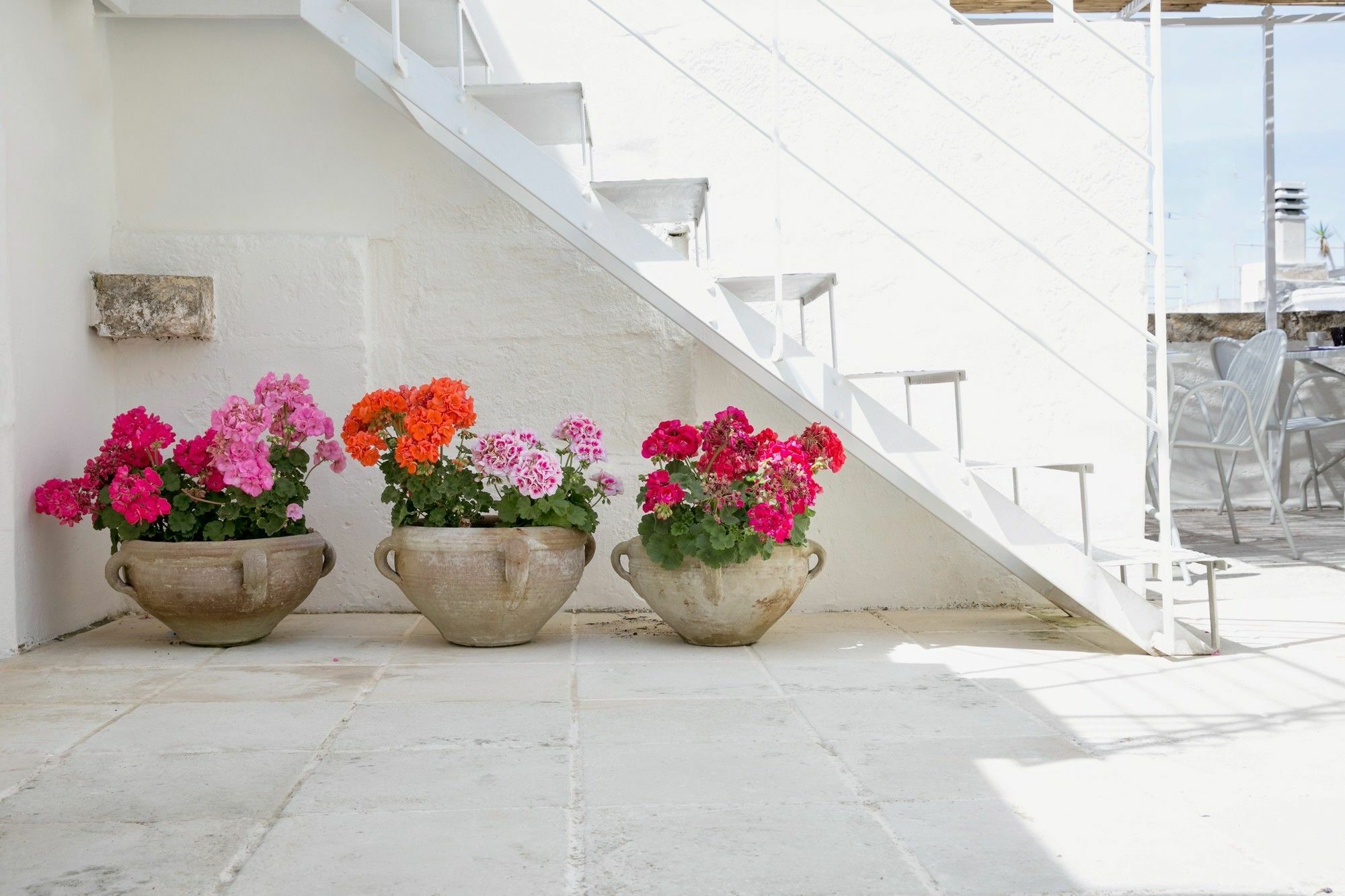Domus Dejana Bed & Breakfast Gallipoli Dış mekan fotoğraf